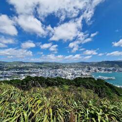 Aussicht vom Mount Victoria auf Wellington