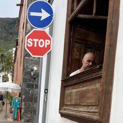 Lesestunde am Fenster