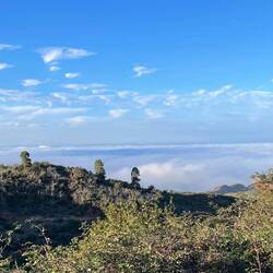 Wir nähern uns dem Wolkenfeld.