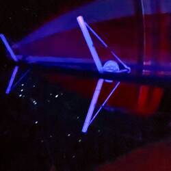 Ein Blick nach oben in den Sternenhimmel