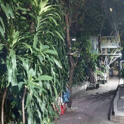 Abendlicher Spaziergang in der Hotelgegend