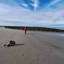 Frodo scheint auch Haifischzähne zu suchen!😁
