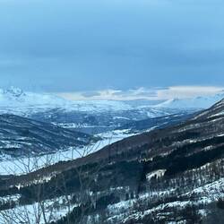 Blick auf Bjervik am Herjangfjord