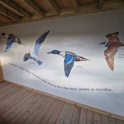 Beautiful wall paintings inside the bird hide