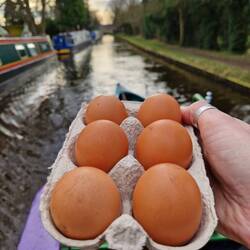 The chickens have noticed the change in daylight hours and begun to lay again 😊