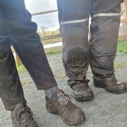 Will reported the farm who had made our passage so difficult and the council will look into it