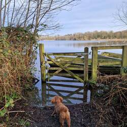 The water level was higher than usual