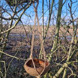 Vicky made a bowl hanger to feed the birds. No doubt we'll forget to take it with us one day!