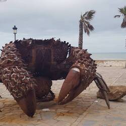 Die kleineren Verwandten werden in den sog. Corrales gefangen