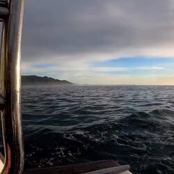 Zusammenschnitt der Unterwasseraufnahmen