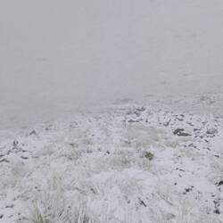 low visibility with just a few markers along the path