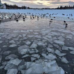 Eisplatten eingefroren x2