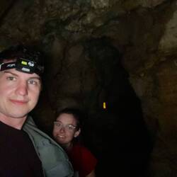 Ein Hoch auf die Hirnbirn 😂💡