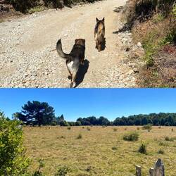 Auf der Suche nach Empfang 🤓