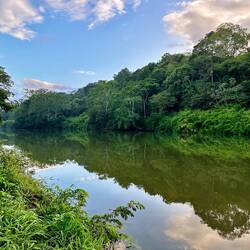 The Macal River