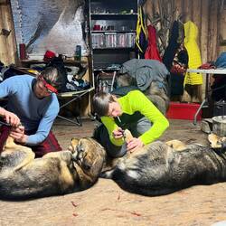 Hunde Spa- Nägel und Fußfell schneiden