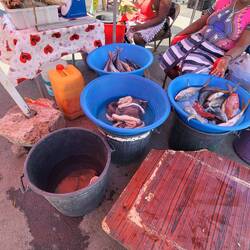 Frauen verkaufen frische Lebensmittel auf dem Markt