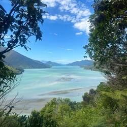 Ausblick auf Fjorde Marlborough Sounds