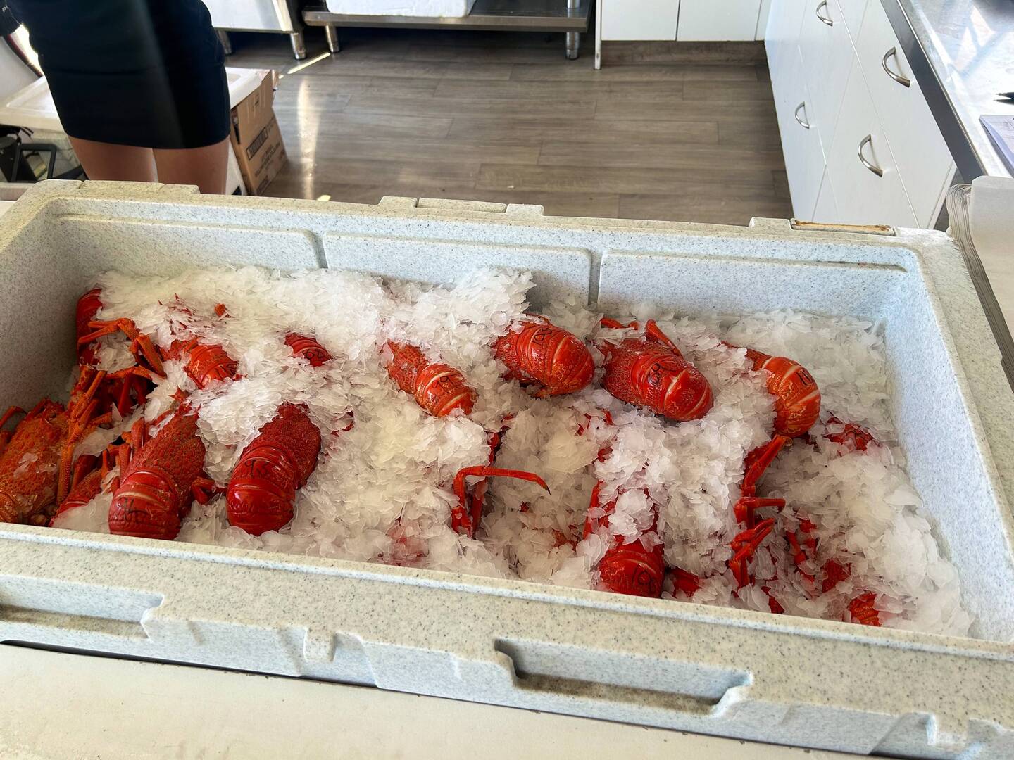 Auswahl der Crayfische