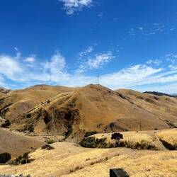 Zwischen Ward-Blenheim