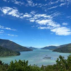 Marlborough Sounds