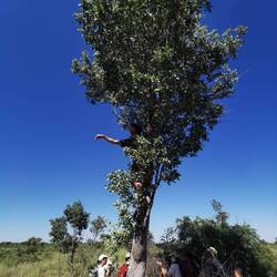 Wo sind die Elefanten?