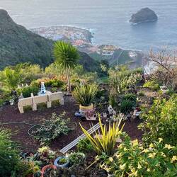 Jeder Zentimeter ist beim Anlegen des Gartens durchdacht.