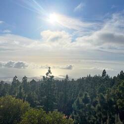 Blick zur Küste in Richtung Adeje