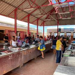 The fish market, no ice anywhere