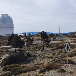 Besuch war heute leider nicht möglich 🙁