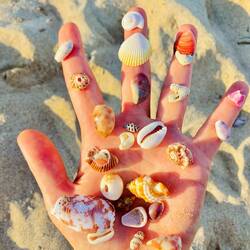 Strandgut mal anders als in Europa 🐚