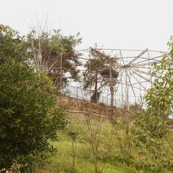 leere Gehege oder umgenutzte statt Bären sind dann Pfaue drinn