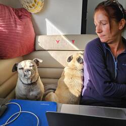 And our work from home work mates who really don't get the idea of personal space