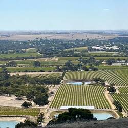 Looking over the Barossa Valley