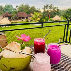 🤤... frische Säfte und Smoothies, alles ohne Zuckerzusatz - wir sind im 7. Himmel 🥥🍓🍉🫚🍑