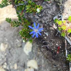 Kleiner Energy-Boost 💫🌈🧘‍♀️