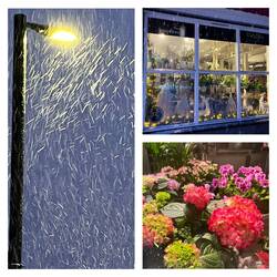 Schneegestöber ❄️❄️❄️❄️