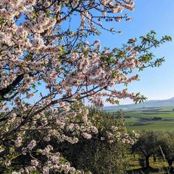 la primavera italiana