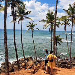 Coconut Tree Hill Mirissa
