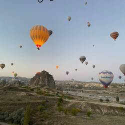 Nach und nach blasen sie sich feuerrot auf und gehen in die Luft