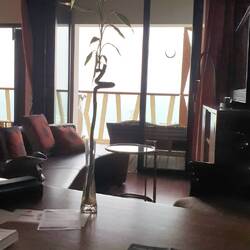 ... bis hin zur Zimmerpflanze