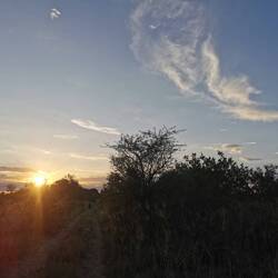 Die Sonne geht unter