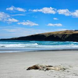 Bisschen müde heute