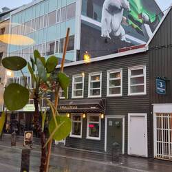 Grafittis finden sich in der ganzen Stadt, hier ein Eisbär, der mit einem Puffin kämpft 😅