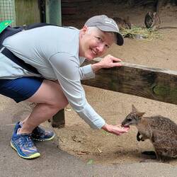 Wallabys everywhere!