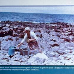 Ehemals wurde in kleinen Wasserbecken Salz gewonnen.