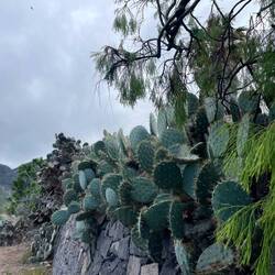 Viel Grün am Wegesrand