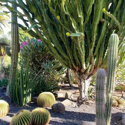 Spaziergang durch den Park