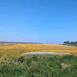 Le printemps est là