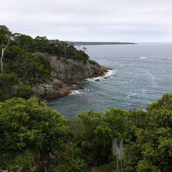 View on Walk Back to Ship